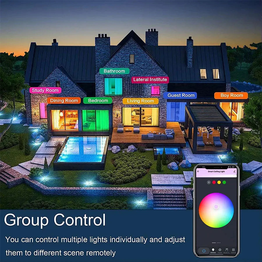 Tuya Smart WiFi Ceiling Light 24W 220V RGB Circular