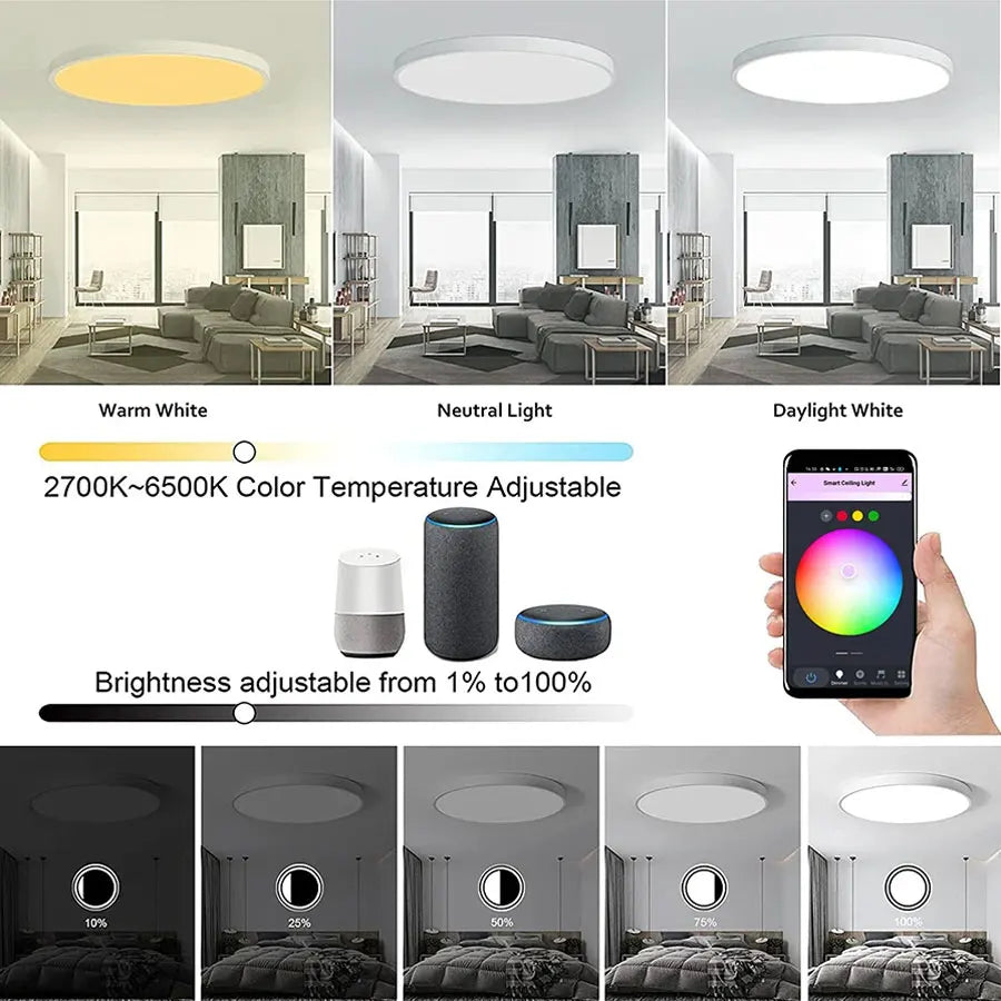 Tuya Smart WiFi Ceiling Light 24W 220V RGB Circular