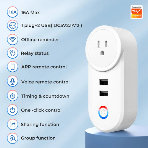 16A Tuya WiFi Smart Socket With 2 USB