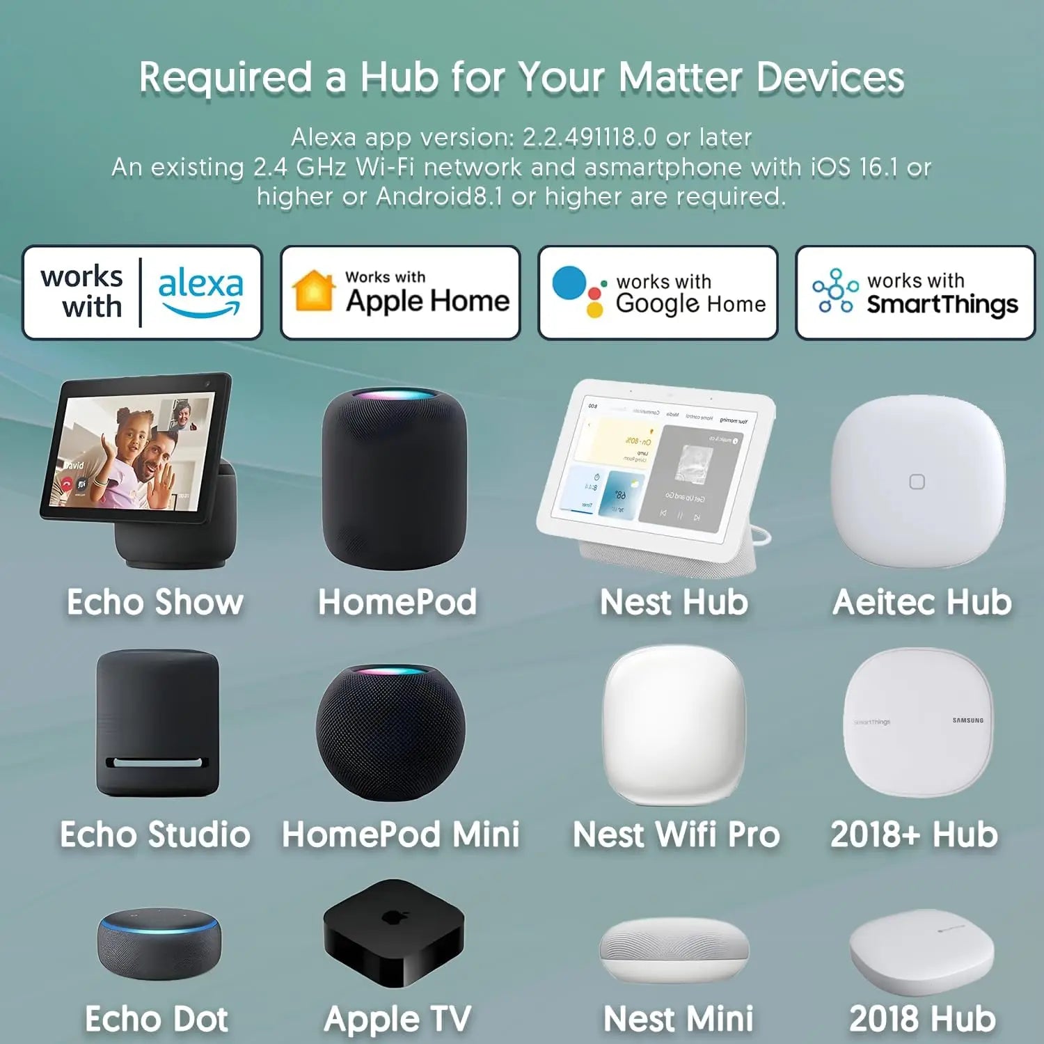 Matter Smart Socket US Plug Alexa Voice Control