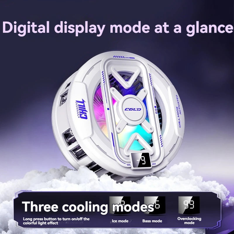 Magnetic Cooler With Temperature Display Radiator