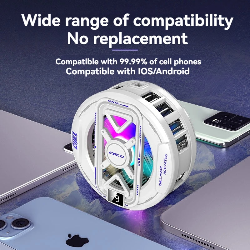Magnetic Cooler With Temperature Display Radiator