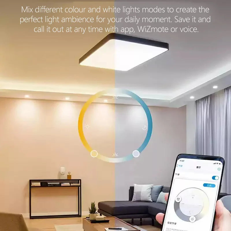 Philips Smart LED A60 P45 B35 WiZ Bulbs