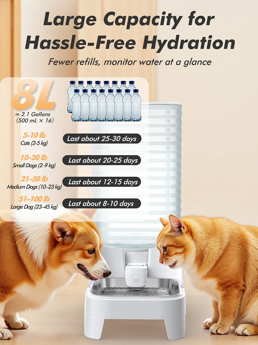 Furpipi 8L Capacity Automatic Pet Feeder & Water Dispenser