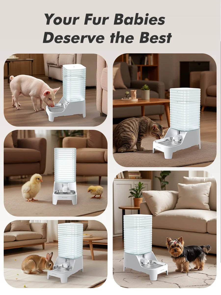 Furpipi 8L Capacity Automatic Pet Feeder & Water Dispenser