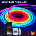 RGBIC Bluetooth Neon Led Strip Lights 5V Neon Strip Light