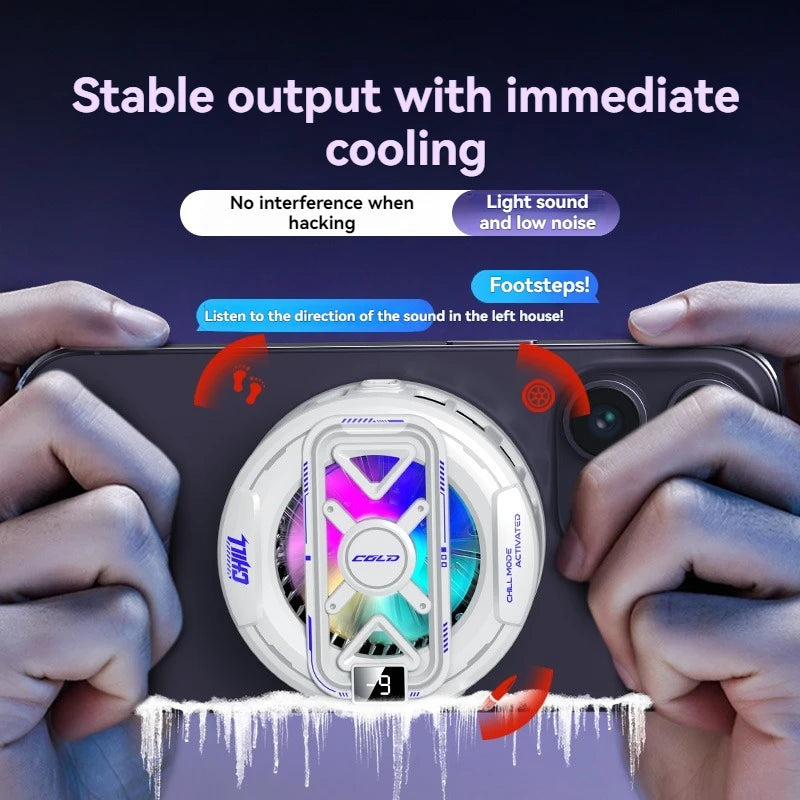 Magnetic Cooler With Temperature Display Radiator