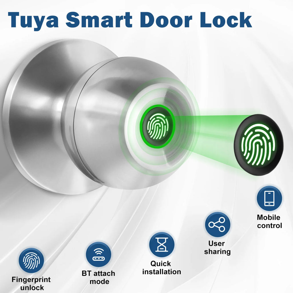 Tuya Smart Door Lock Fingerprint Biometric Spherical