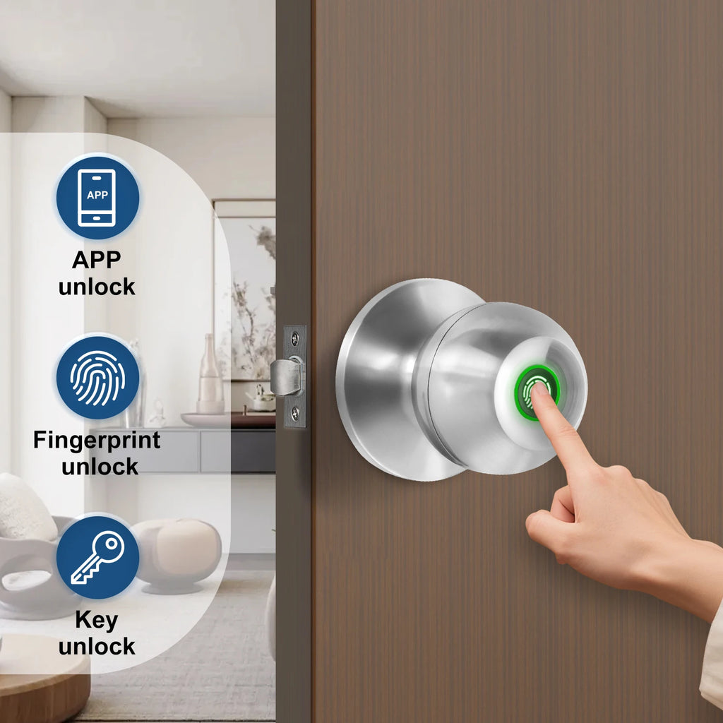 Tuya Smart Door Lock Fingerprint Biometric Spherical